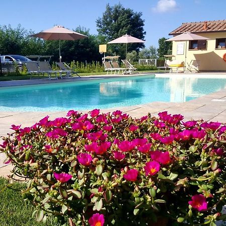 Punta Dei Lecci Vila Riparbella Exterior foto