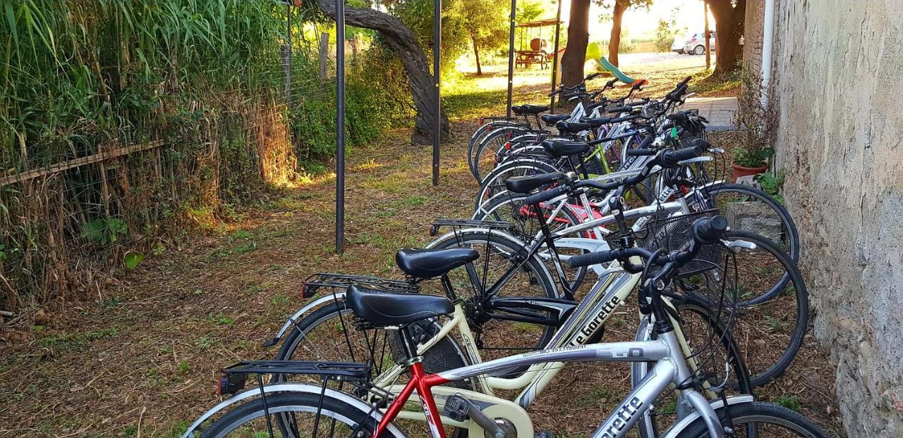 Punta Dei Lecci Vila Riparbella Exterior foto