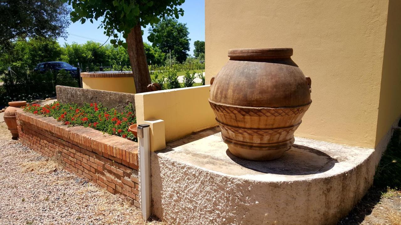 Punta Dei Lecci Vila Riparbella Exterior foto