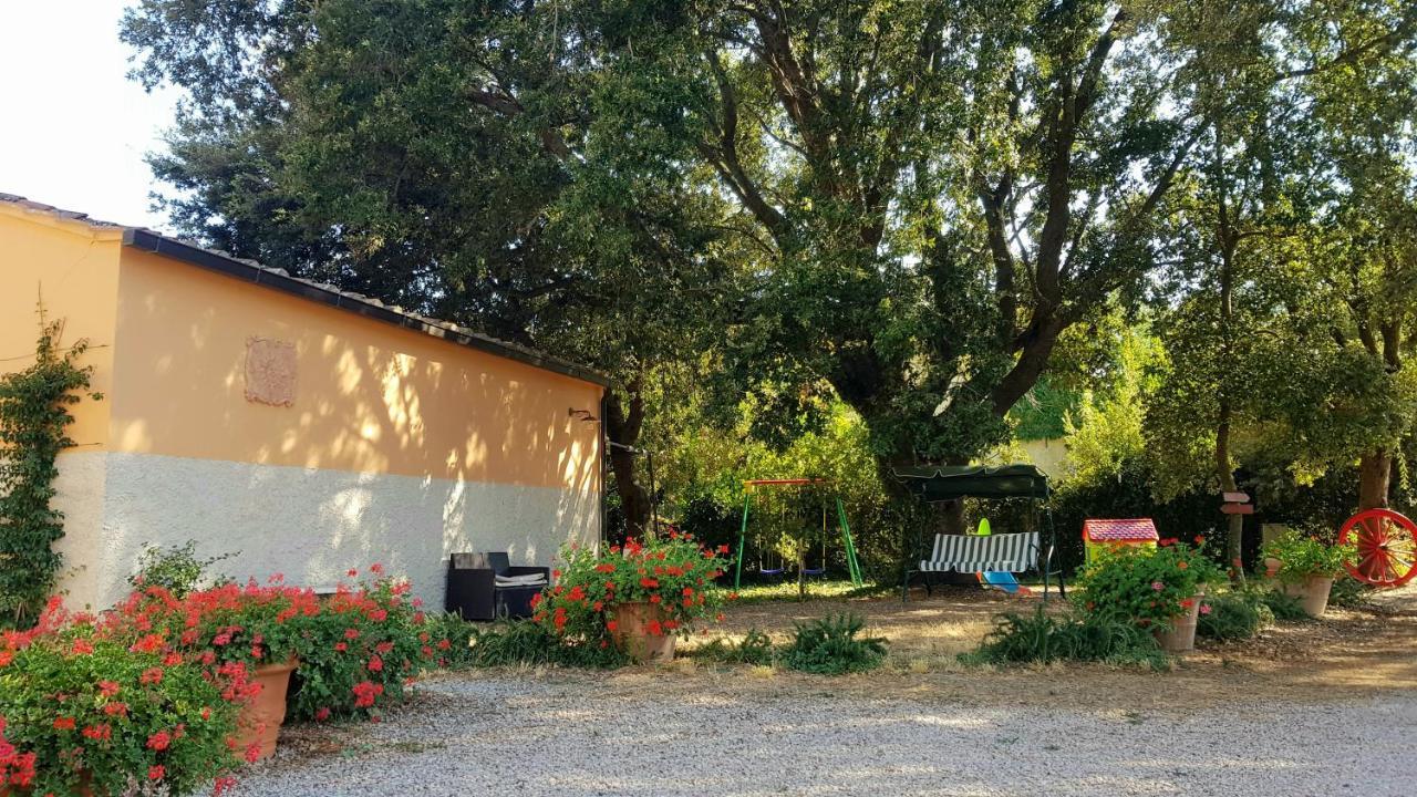 Punta Dei Lecci Vila Riparbella Exterior foto