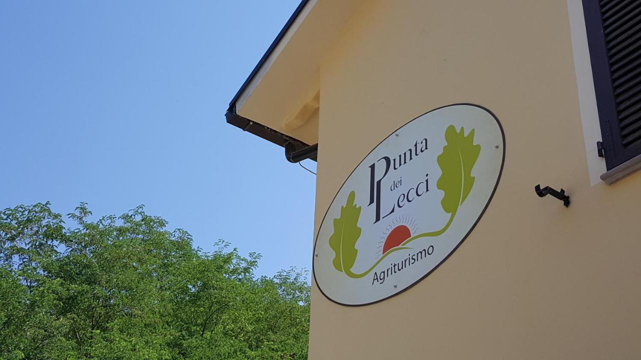 Punta Dei Lecci Vila Riparbella Exterior foto